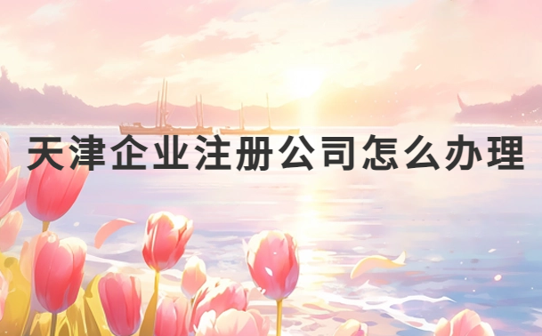天津企業(yè)注冊公司怎么辦理